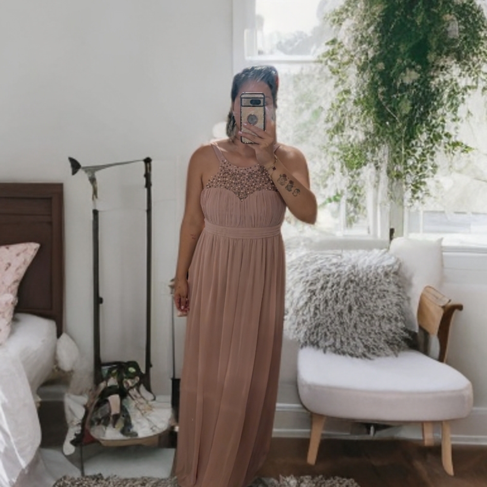 Little Mistress Elegant Lace Maxi Dress in Blush